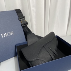 Christian Dior Saddle Bags